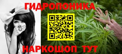 ПСИЛОЦИБИНОВЫЕ ГРИБЫ Рязань