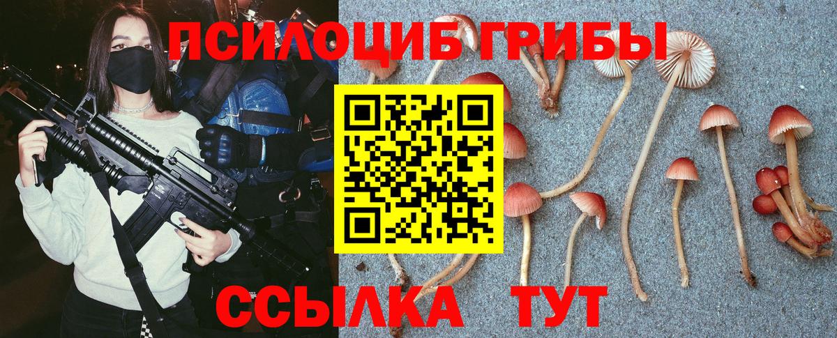 Псилоцибиновые грибы Psilocybine cubensis Похвистнево