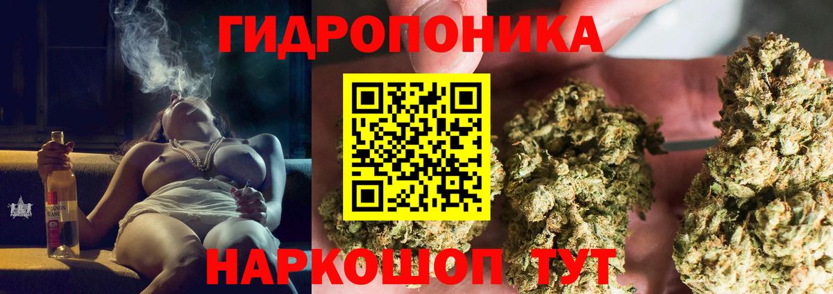 Бошки Шишки MAZAR Похвистнево